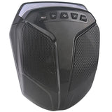 ATV Bluetooth Audio System Speakers